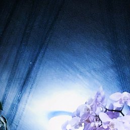 �������, �����-���������, 25 ���