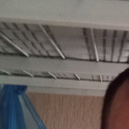 ����, ������, 39 ���