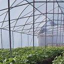 ���� ���������, ������, 41 ��� - ��������� 20 ������� 2024 � ������ ���� ����������