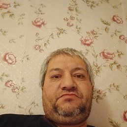 �����, 48 ���, ���������