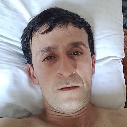 ������, ����, 37 ���