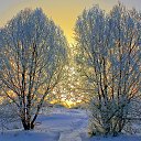 ���� ������, ������, 69 ��� - ��������� 27 ������ 2024 � ������ ���� ����������