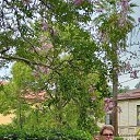 ���� �����, ����������, 66 ��� - ��������� 8 ������ 2025 � ������ ���� ����������