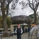 ���� ����, ������, 52 ���� - ��������� 7 ������� 2025 � ������ ���� ����������