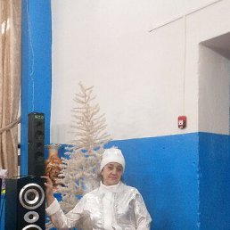 �����, 43 ����, ������