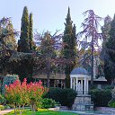 ���� ������, �����-��������� - ��������� 25 �������� 2025 � ������ ������ 2025�