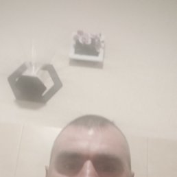 , 40, 