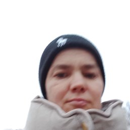 �������, 37 ���, ������