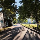  , , 49  -  21  2025   .  ( )