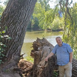 ���� ����, ����, 54 ���� - ��������� 1 ����� 2026