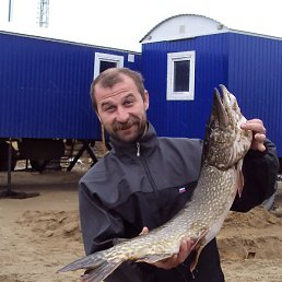 ��������, ������, 52 ����