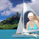 ���� ������, �����-��������� - ��������� 15 ������� 2026 � ������ ���� ����������