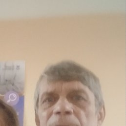 , 61, 