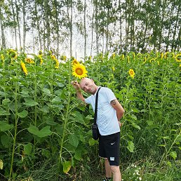 ���� ������, �������, 39 ��� - ��������� 24 ������ 2025