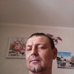, 43 , --