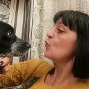 ���� �������, �����-��������� - ��������� 18 ����� 2026 � ������ ���� ����������
