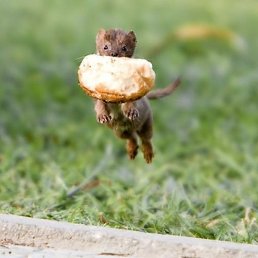 Olesya, ������, 39 ���