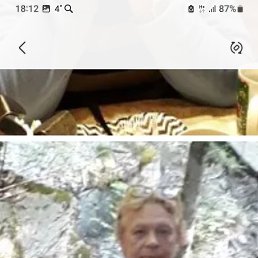 , 65, 