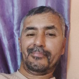 �����, ������, 65 ���