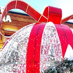 ����, ���������, 65 ���