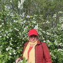 ���� �������, ������, 61 ��� - ��������� 26 �������� 2025 � ������ ���� ����������