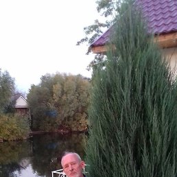 ��������, ������, 65 ���