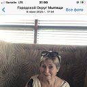 ���� �������, ������ - ��������� 8 ���� 2026