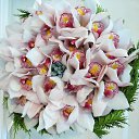 ���� ����, ������ - ��������� 17 ������� 2025 � ������ ���� ����������