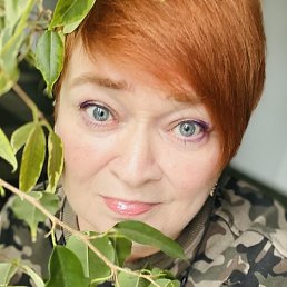 �������, ���������, 56 ���