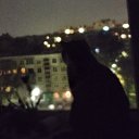 ���� Rika, �����-���������, 24 ���� - ��������� 5 ������ 2024 � ������ ���� ����������