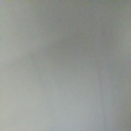 Bek, ������, 29 ���