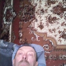 , 58, 