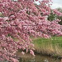 ���� �����, �������, 62 ���� - ��������� 24 ������ 2025