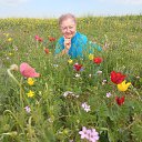 ���� �����, �����, 66 ��� - ��������� 26 ������ 2024 � ������ ���� ����������