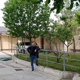 �������, �������, 48 ���