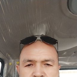 ���� ����, ������, 51 ��� - ��������� 24 ������� 2025