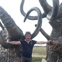 ���� �����, �������, 47 ��� - ��������� 27 �������� 2025 � ������ ���� ����������