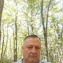, 54, 