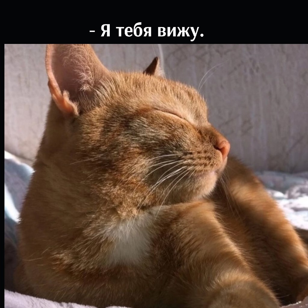       - 22  2025  16:34 - 3