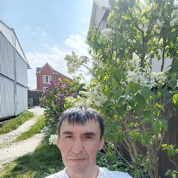   ., 42, 