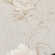 �����, 34 ����, �����������