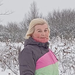 ���� �������, ��������, 50 ��� - ��������� 5 ������ 2026