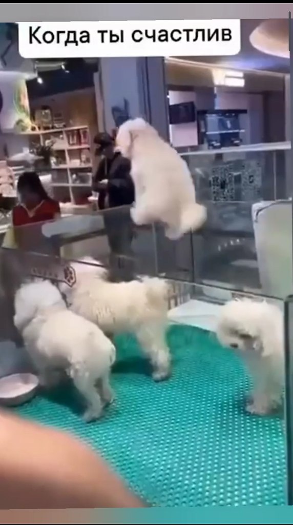 ��� ��� �� ����� ���������� ���� �����