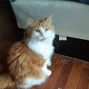 ���� ������, ���� - ��������� 13 ������ 2025 � ������ ������ ��������