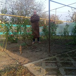 ������ ������, ����, 47 ���