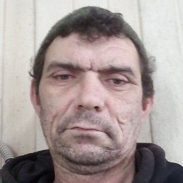 ���������, ����������, 43 ����