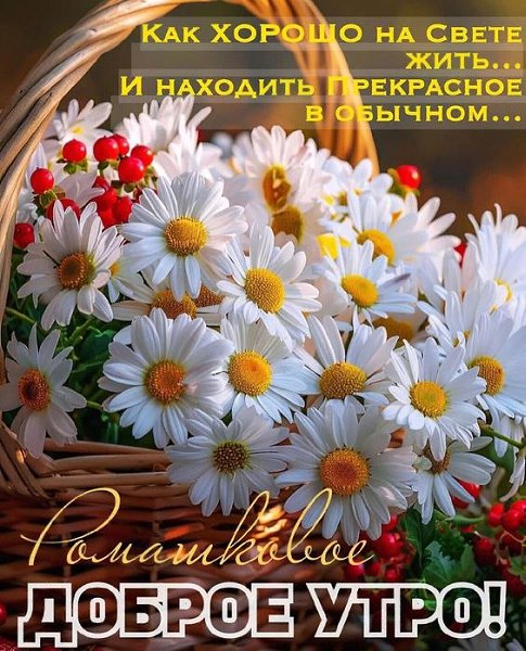 ₪╬═►  ||  ||  ◄═╬₪ - 25  2024  05:34