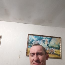 ����, 46 ���, ������-���