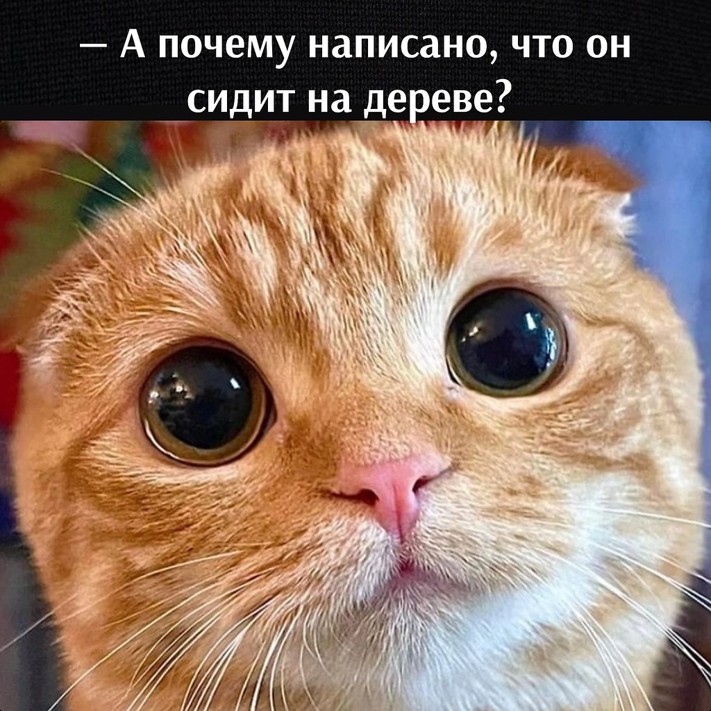       - 21  2025  17:00 - 3