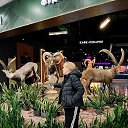 ���� �����, ������������, 63 ���� - ��������� 18 �������� 2026 � ������ ���� ����������